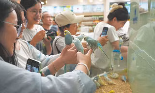 Những cách ‘chữa lành’ của người trẻ Trung Quốc 