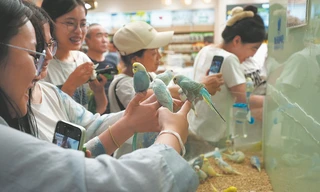 Những cách ‘chữa lành’ của người trẻ Trung Quốc 