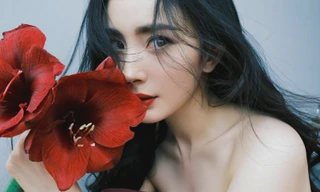 Dương Mịch quyến rũ và xinh đẹp như hoa đón năm mới