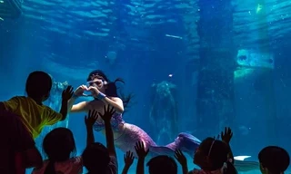 Cô gái kể chuyện làm nghề nàng tiên cá ở Singapore