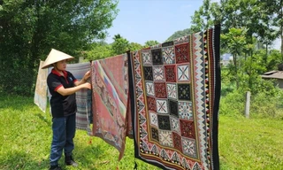 Biến vườn hoang thành điểm 'check in' vạn người mê, 9X thu nửa tỷ đồng