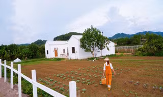 Cô gái cải tạo nhà kho cũ thành nông trại trong mơ 