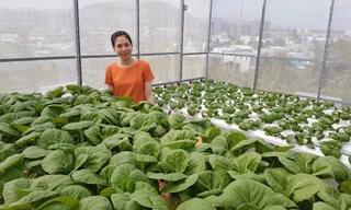 Gia đình trẻ biến sân thượng trống thành ‘khu vườn trên mây’