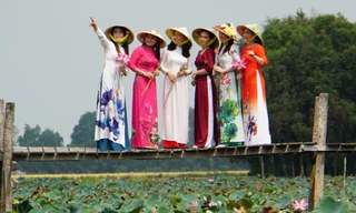 Báo Tiền Phong góp phần quan trọng lan tỏa hình ảnh Đất Sen hồng