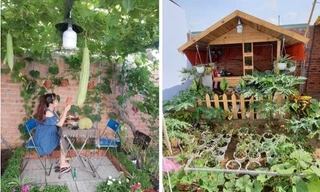 Đôi vợ chồng ở TPHCM trồng rau, làm vườn khi cách ly tại nhà