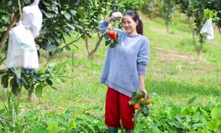 Những người trẻ sống ở cả thành phố và vùng quê