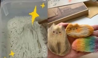 'Nuôi' đồ vô tri để giảm stress 