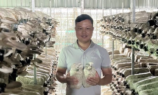 Bí quyết tạo doanh thu hơn 4 tỷ đồng mỗi năm của chàng trai miền Tây