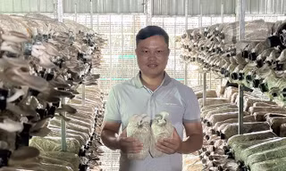 Bí quyết tạo doanh thu hơn 4 tỷ đồng mỗi năm của chàng trai miền Tây