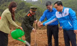 Tuổi trẻ Hòa Bình phát động Tết trồng cây