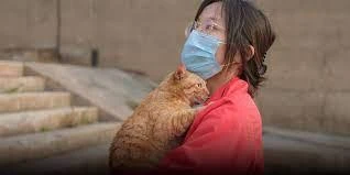 Nhiều người trẻ Trung Quốc coi thú cưng như con 