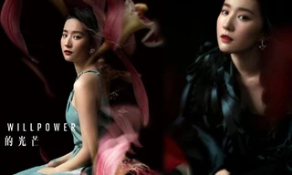 Ngắm nhan sắc và khí chất bay bổng của 'thần tiên tỉ tỉ' Lưu Diệc Phi