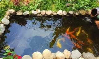 Rơi vào bể cá cảnh, bé 2 tuổi ở Nghệ An tử vong