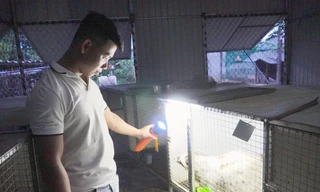 Chàng trai 24 tuổi thu hàng trăm triệu nhờ mạnh dạn đầu tư lập nghiệp trên quê hương