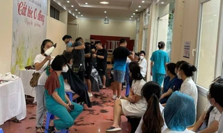 Những "vị khách" đặc biệt 