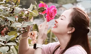'Thủ phủ hoa hồng' ở Đà Lạt đắt hàng dịp Valentine dù giá tăng mạnh