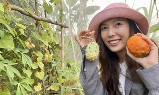 9X miền Tây mê làm nông nghiệp, trồng cả mía Hawaii, dưa châu Phi