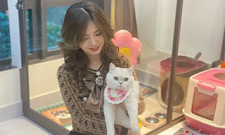 Khách sạn thú cưng 'cháy phòng', nhân viên tất bật làm xuyên Tết