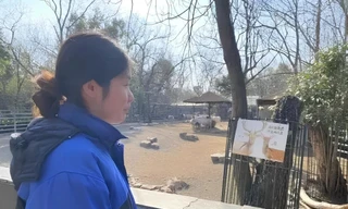 Nữ thạc sĩ Cambridge xin vào sở thú trông coi động vật gây tranh cãi