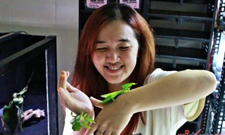 Những 'chiếc lá' tiền triệu khiến người trẻ mê mẩn