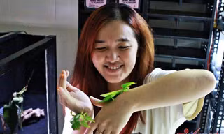 Những 'chiếc lá' tiền triệu khiến người trẻ mê mẩn