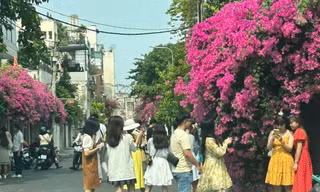 Giới trẻ đổ xô đến nhà hoa giấy gây sốt, chủ nhà ở TPHCM 'kêu cứu'