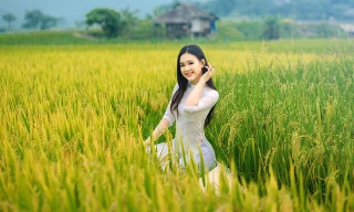 Á khôi Sinh viên Việt Nam khoe nét xuân thì bên đồng lúa