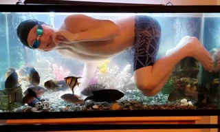 Nghỉ học vì dịch COVID-19, cậu bé bơi tạm... trong bể cá