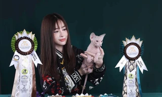 Thú cưng - cuộc chơi công phu và đắt đỏ - Kỳ 1: Bảo mẫu của đội quân mèo không lông 