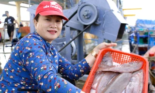 Ngư dân miền Trung bội thu chuyến biển cuối năm