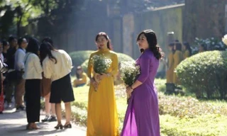 Mùa thu nắng vàng đẹp nao lòng, giới trẻ rộn ràng chụp ảnh trên con đường Hà Nội lãng mạn