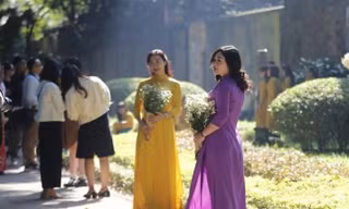 Mùa thu nắng vàng đẹp nao lòng, giới trẻ rộn ràng chụp ảnh trên con đường Hà Nội lãng mạn