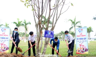 Năm nay, Thành Đoàn Đà Nẵng phấn đầu trồng 50 ngàn cây xanh trên địa bàn, riêng trong Tháng Thanh niên sẽ trao tăng 20 ngàn cây xanh (cây keo) là sinh kế hỗ trợ thanh niên trên địa bàn huyện Hòa Vang lập nghiệp