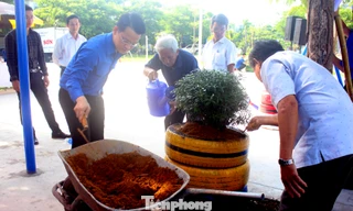 Các điểm nóng về môi trường trên địa bàn TP Đà Nẵng sẽ được các Quận, Huyện đoàn dọn dẹp, cải tạo để trở thành công viên cây xanh, điểm vui chơi… phục vụ cộng đồng
