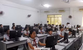 Thành Đoàn Đà Nẵng, Sở GD&ĐT, Sở TT&TT và Sở KH&CN phối hợp tổ chức Hội thi Tin học trẻ cấp thành phố năm 2020 dành cho học sinh Tiểu học, THCS và THPT trên địa bàn. Hội thi thu hút hơn 400 thí sinh