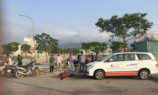Chiếc taxi gặp phải đàn bò đang ngủ giữa đường, một chú bò giật mình lao vào đầu xe taxi, chết tại chỗ. Ảnh: CTV