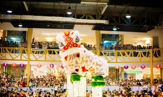 Cuộc thi Lân sư rồng Quốc tế tại Đà Nẵng diễn ra từ 14/9 đến 16/9