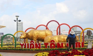 'Trâu kéo cày', trâu kim tiền vào đường hoa Tết 10 tỷ đồng ở Đà Nẵng