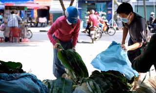 Chợ lá dong lớn nhất TPHCM bắt đầu nhộn nhịp không khí Tết