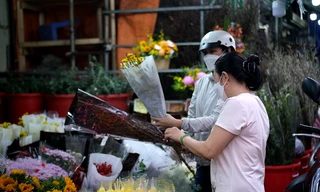 Giá hoa hồng Đà Lạt tăng kỷ lục trước ngày Valentine