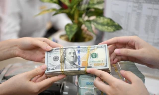 Giá USD tăng 'nóng', Ngân hàng Nhà nước can thiệp ra sao?