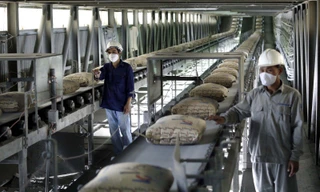 Hiệp hội Xi măng 'kêu cứu' Thủ tướng