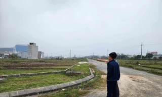 Nhiều người 'săn lùng' bất động sản sau Tết