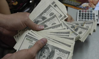 Tỷ giá đến cuối năm có biến động?