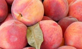 Quả đào bổ máu, chống ung thư