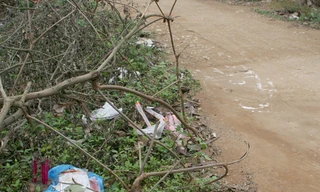 Hiện trường vụ đâm nhau