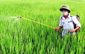 Hai loại thuốc trừ sâu có liên quan đến bệnh Parkinson