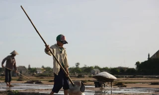 Sản xuất muối còn nặng thủ công. Ảnh: Xuân Phú