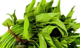 Bài thuốc hay từ rau muống