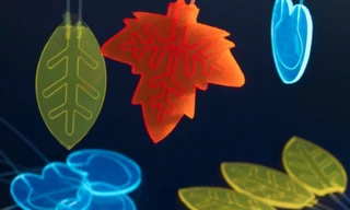 Hà Lan sáng tạo lá nhân tạo chuyển đổi ánh sáng Mặt trời thành thuốc